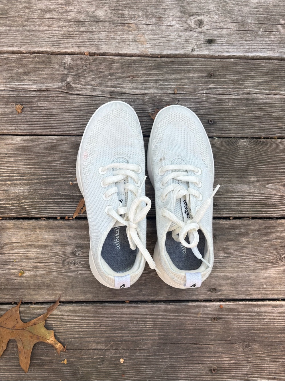 allbirds Women’s Cream Knit Lace-Up Sneakers